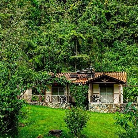Hotel Termales San Vicente Santa Rosa de Cabal Esterno foto