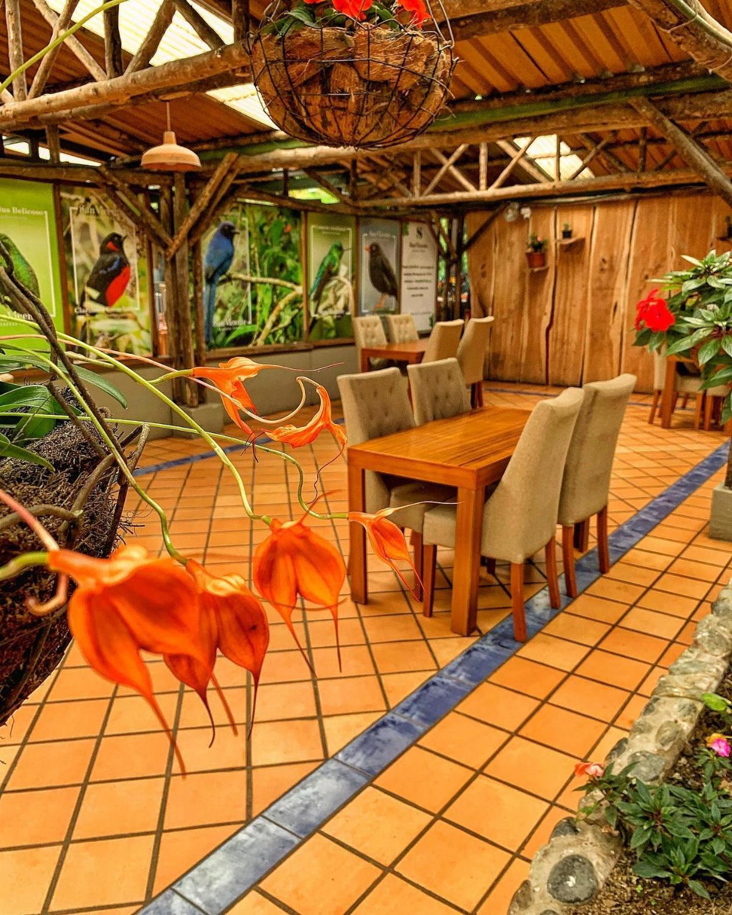 Hotel Termales San Vicente Santa Rosa de Cabal Esterno foto