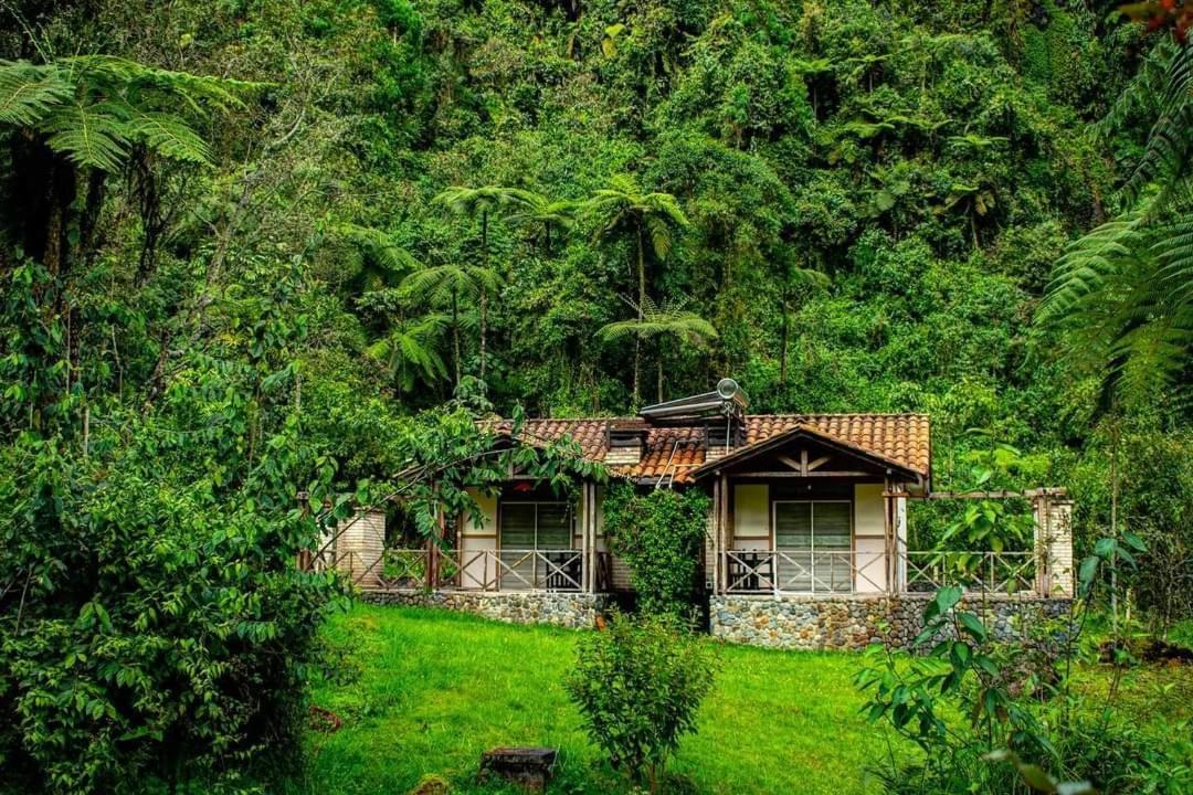 Hotel Termales San Vicente Santa Rosa de Cabal Esterno foto